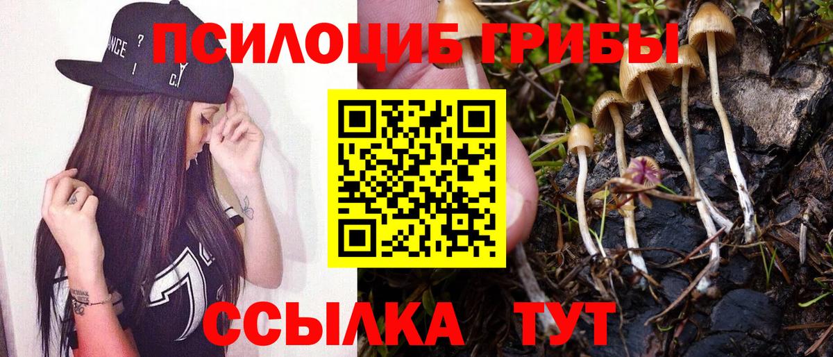 Псилоцибиновые грибы Psilocybe  Галлюциногенные грибы мухоморы  Вход с VPN  Бердск 