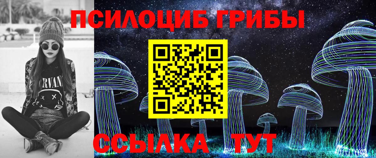 Псилоцибиновые грибы мицелий Бердск